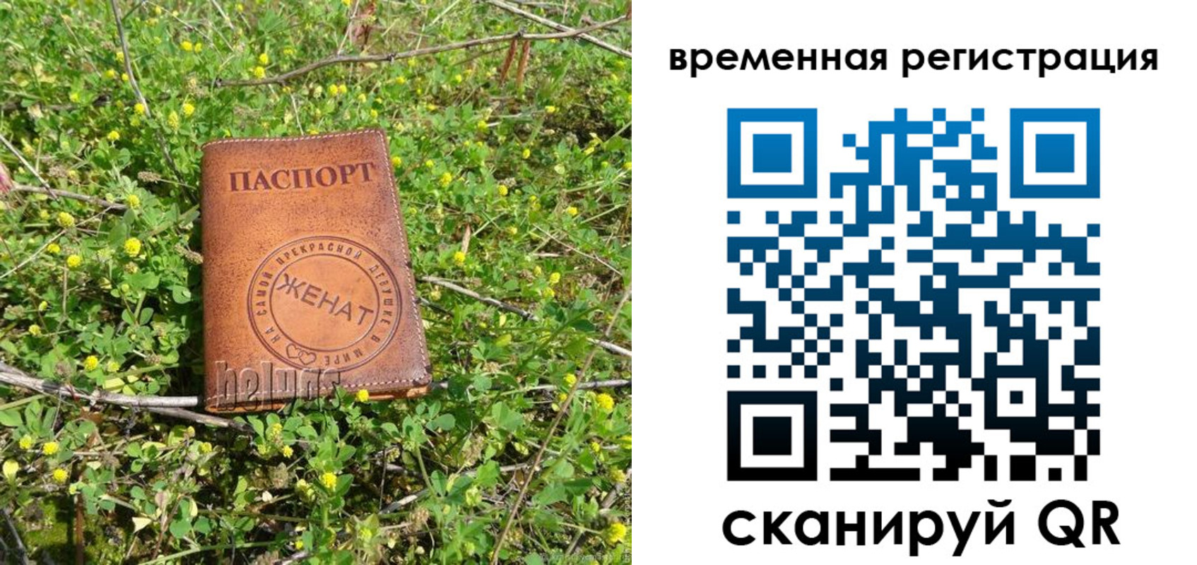 прописка регистрация в Апатитах